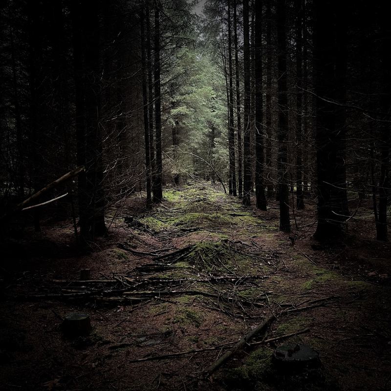 Photograph by James Aletsch