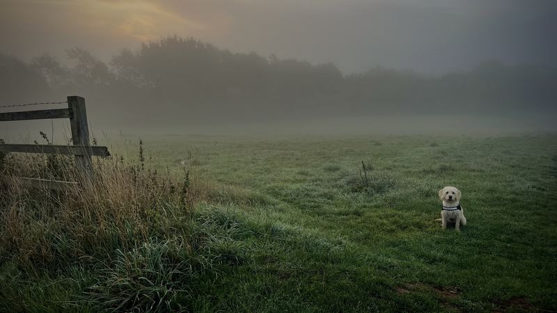 Photograph by James Aletsch