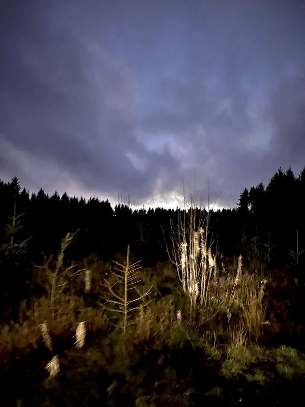 Photograph by James Aletsch