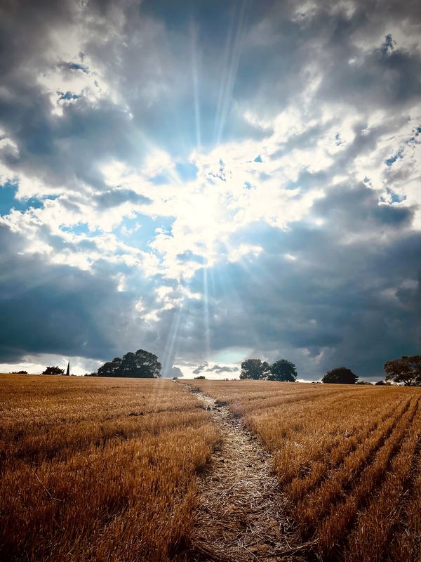 Photograph by James Aletsch